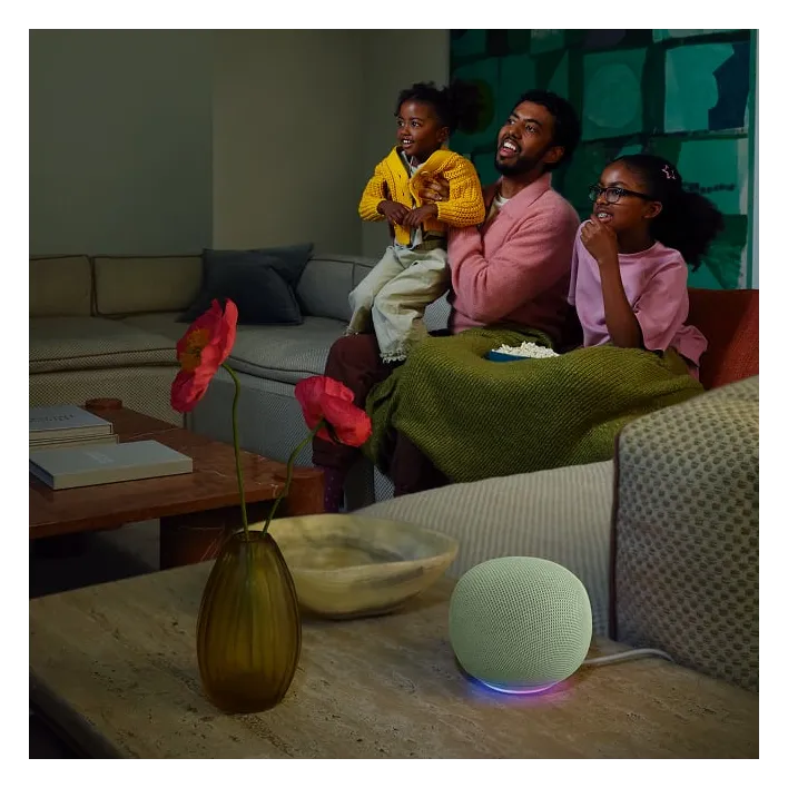 Google Home Speaker, photo 4 of 4