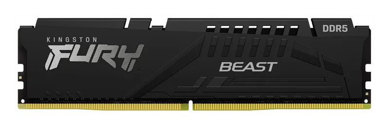 Kingston Fury Beast DDR5 module, side view